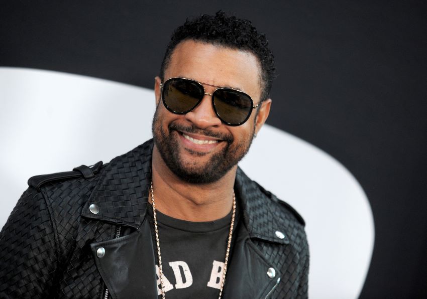shaggy we re still here dancehall is crisis shaggy we re still here dancehall is crisis