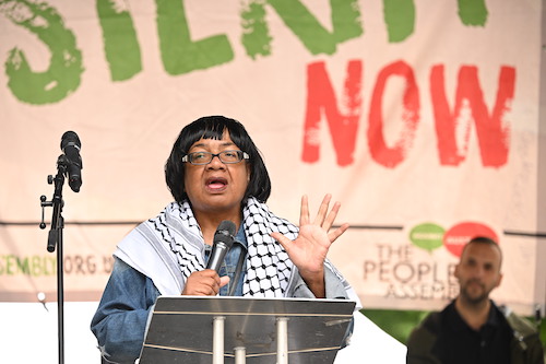 Diane Abbott betrayed yet again as Labour turns its back on her - Voice Online